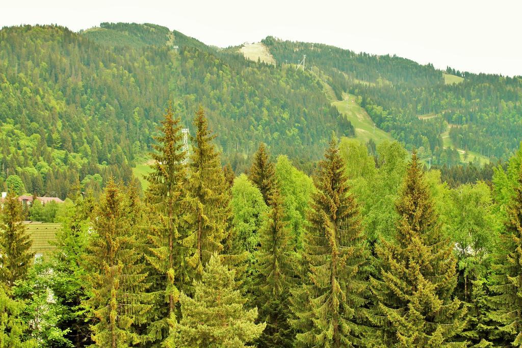 Hotel Crisalpin Poiana Brasov Εξωτερικό φωτογραφία