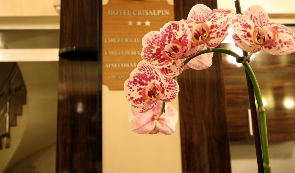 Hotel Crisalpin Poiana Brasov Εξωτερικό φωτογραφία