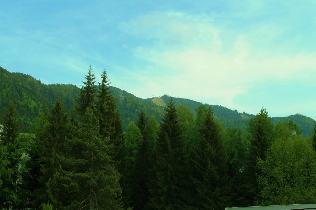 Hotel Crisalpin Poiana Brasov Εξωτερικό φωτογραφία